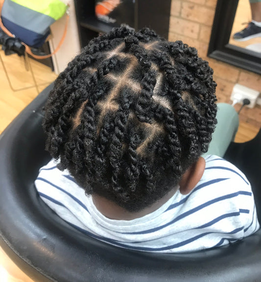 Mens Box Braids / Twists / Cornrows